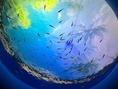-欢乐海岸海洋奇梦馆