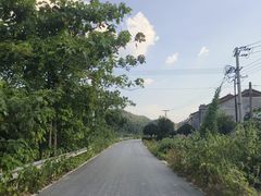 -长沙黑麋峰国家森林公园
