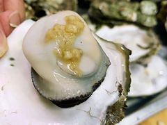 清烧生蚝-蚝哥花姐湛江烤生蚝(美丽湾市场店)