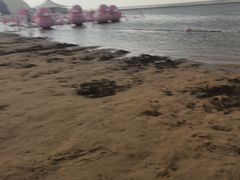 -碧海金沙