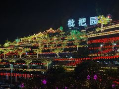 -枇杷园食为鲜火锅(南山店)