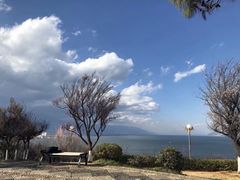 -大理洱海