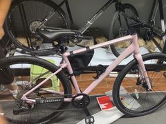 -道路口单车爱瓦士dahon大行