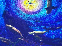 -太平洋海底世界