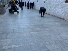 -布达拉宫