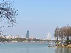 -长广溪湿地公园