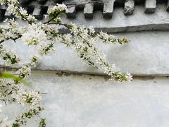 -团结湖公园