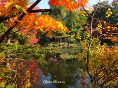 -北海道厅旧本厅舍(旧本庁舎)
