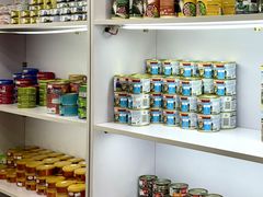 -青奢宠物·青奢猫舍