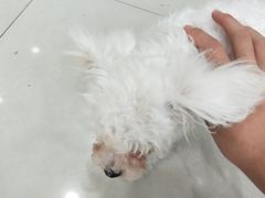 -宠颐生·恒爱宠物医院(静海店)