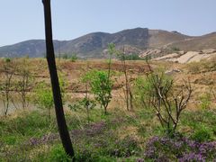 -嵖岈山风景区