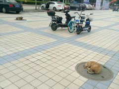-福州大学(旗山校区)