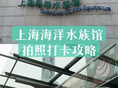 -上海海洋水族馆