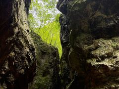 -牛背梁国家森林公园