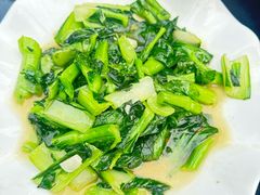 炒菜心-途中饭店(开化店)