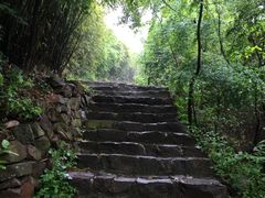 -雨花胜境