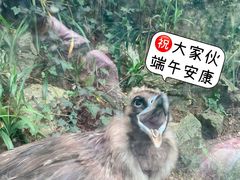 -杭州动物园