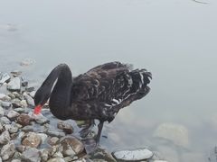 -河北村民俗体验园