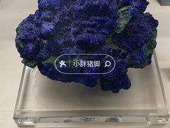 -中国地质博物馆