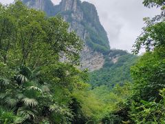 -鹿院坪生态旅游景区