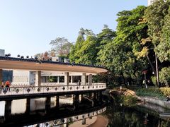 -荔湾湖公园