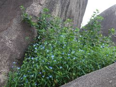 -云洞岩风景区