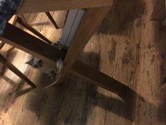 -不舍昼夜咖啡馆