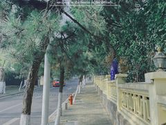 -八大关景区