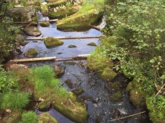 -汤旺河林海奇石景区