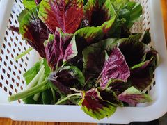 -侗乡缘食府(从江高铁站店)