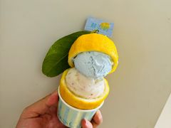 -苏小糖(鼓浪屿三丘田花园店)