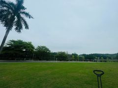 -东莞植物园