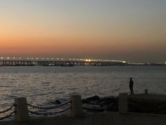 -宝安西湾红树林湿地公园