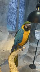 -Zoolung Zoolung动物主题公园(海信广场店)