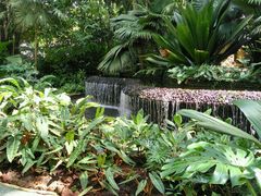 -植物园哈利亚餐厅