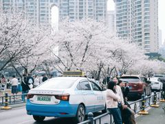 -西北湖绿化广场