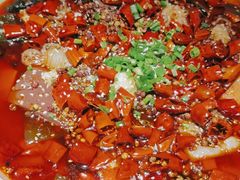 -雲蜀龙阁·金牌水煮鱼(方庄店)