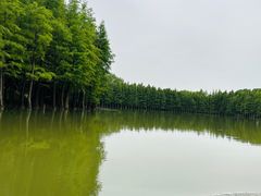 -苏州太湖国家湿地公园