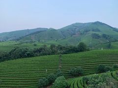 -帐篷客·溪龙茶谷度假酒店