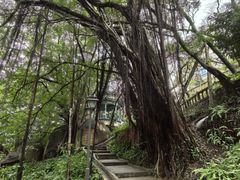 -乌山风景区