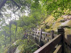 -缙云山景区