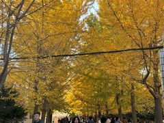 -辽宁大学(崇山校区)