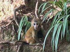 -黔灵山公园