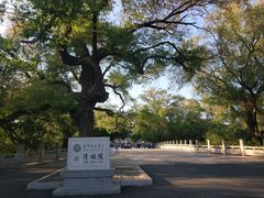 -北陵公园