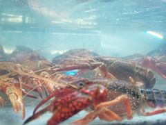 -火龙堂·风味民间菜(文一路店)