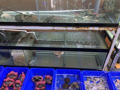 -QQ海鲜餐厅