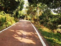 -大屏嶂森林公园