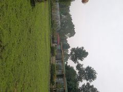 -洪湖家庭农场·团建·露营·会议