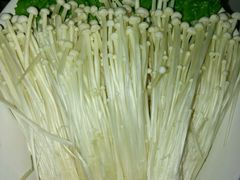 -鼎尊锅物料理(五角场店)