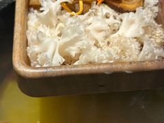 -野·大山里野生菌石锅土鸡(益田假日店)